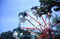 Fort Worth Zoo, Forest Park ferris wheel, July 1966 (095-022-180)